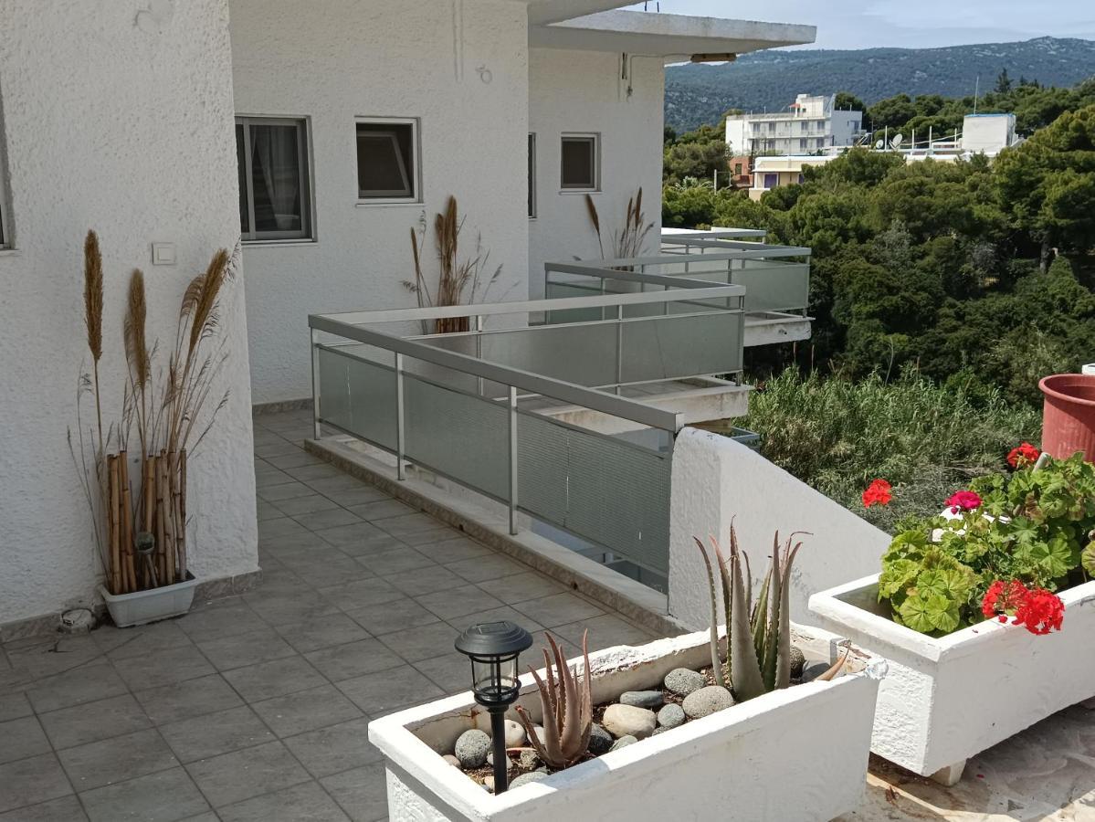 Meltemi Apartments Αγία Μαρίνα Εξωτερικό φωτογραφία